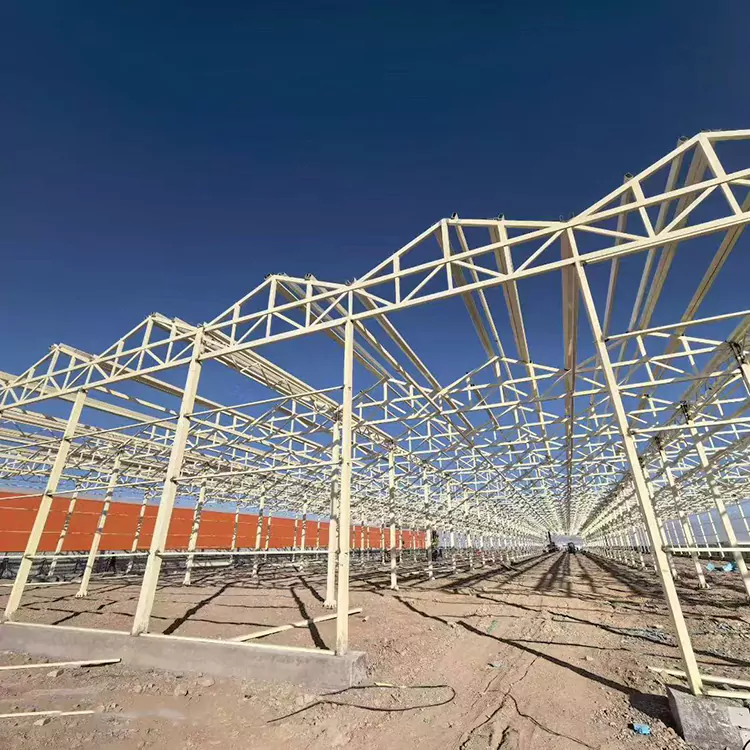 Pourquoi un cadre de serre en acier galvanisé est-il le meilleur choix pour l'agriculture moderne